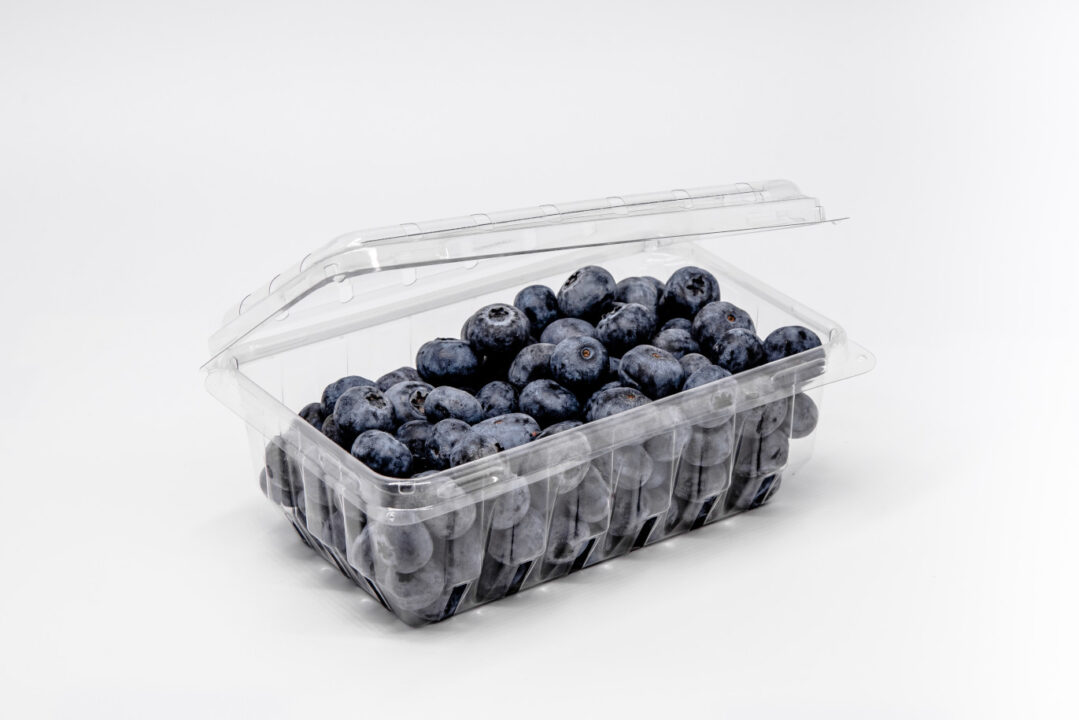 18oz Blueberry Clamshell Royal Interpack